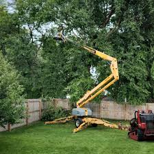 Best Hedge Trimming  in Ballwin, MO